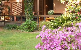 B&B Il Cortile Malpensa